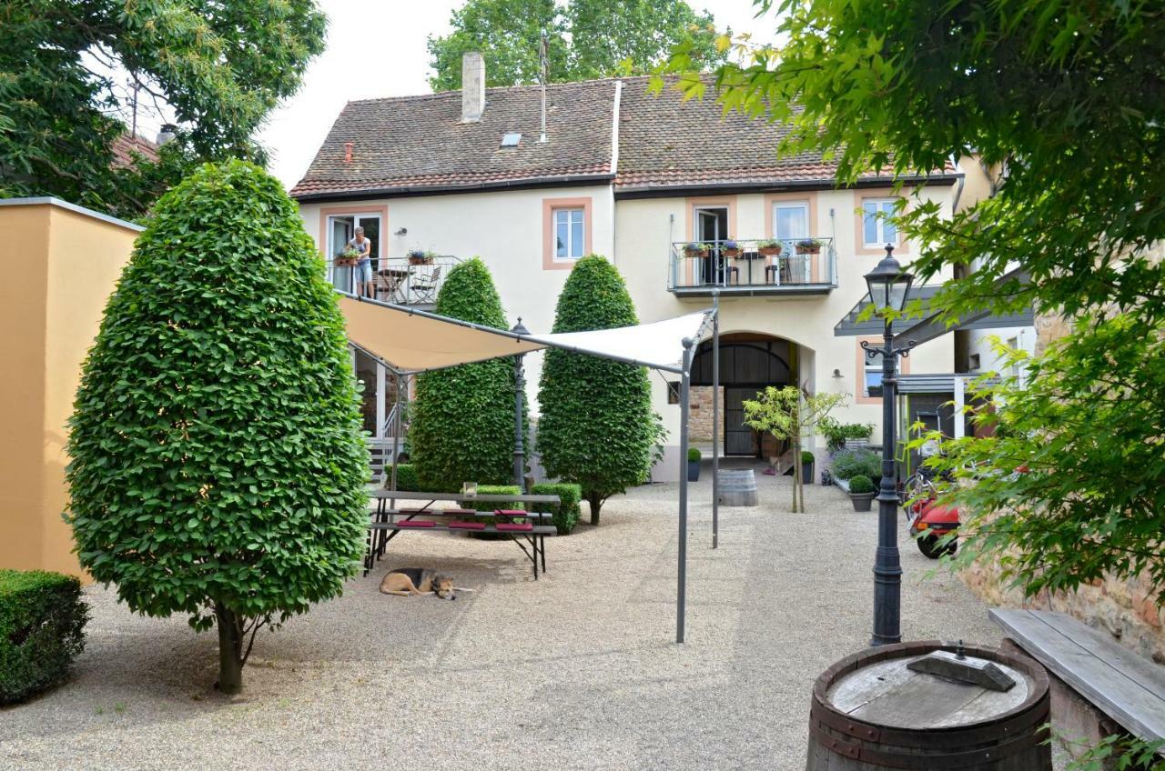 Appartement Haus Mandelbluete à Gimmeldingen Extérieur photo